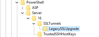 SSL Tunnel Registry Location