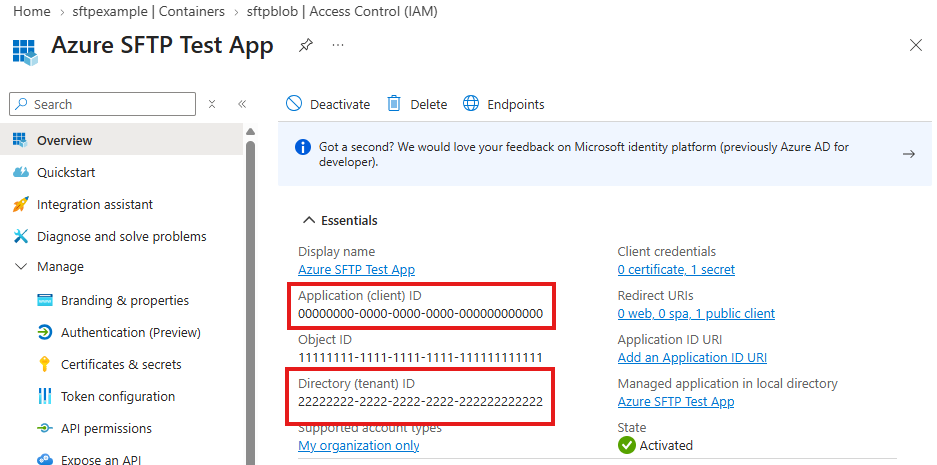 "Overview page of an app registration with the 'Application (client) ID' and 'Directory (tenant) ID' highlighted."